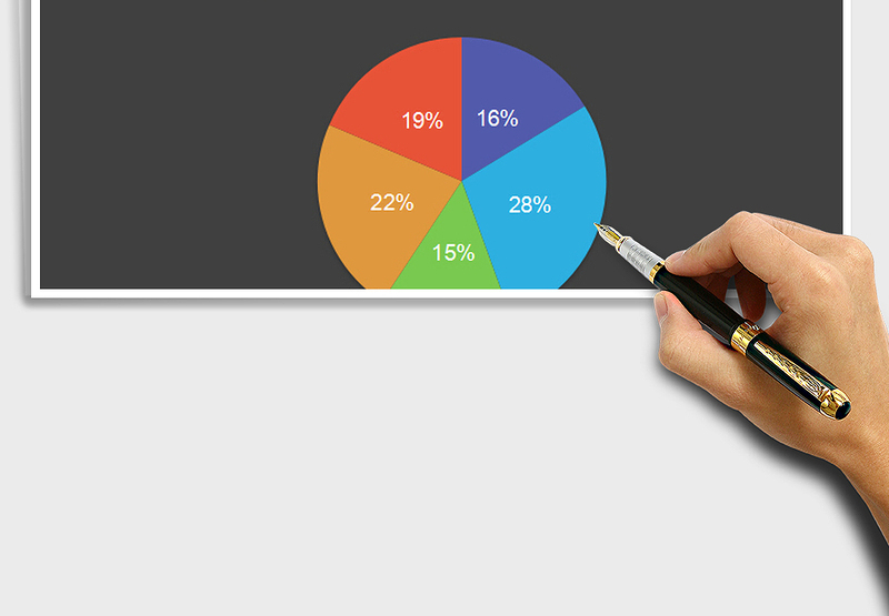 2024年成交量占比分析