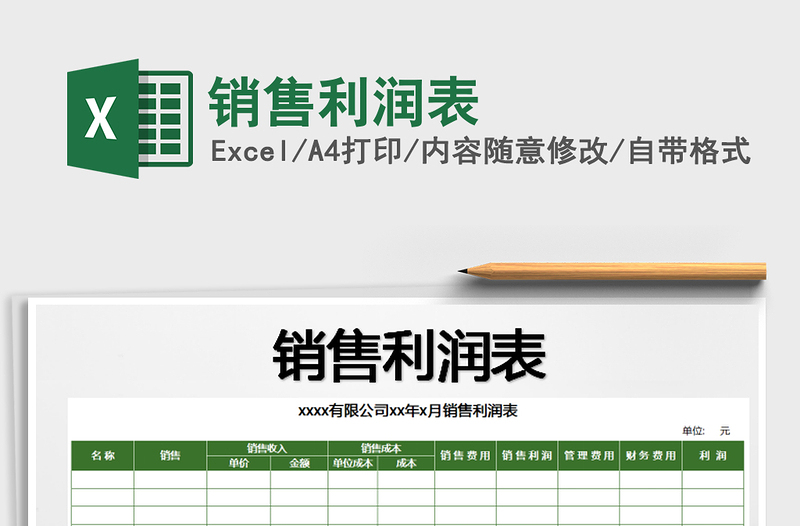 2025年销售利润表