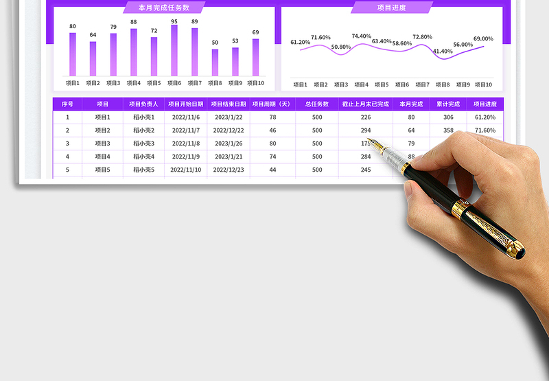 2025任务统计项目月报免费下载