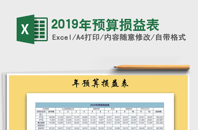 2025年2019年预算损益表