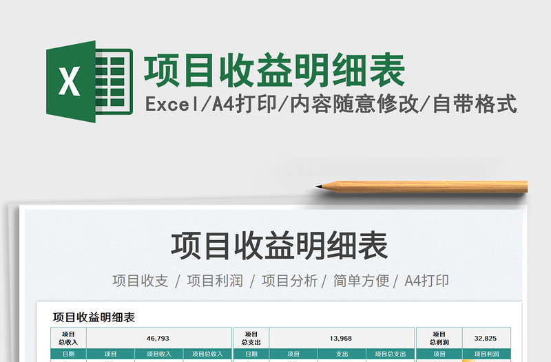 2025项目收益明细表免费下载