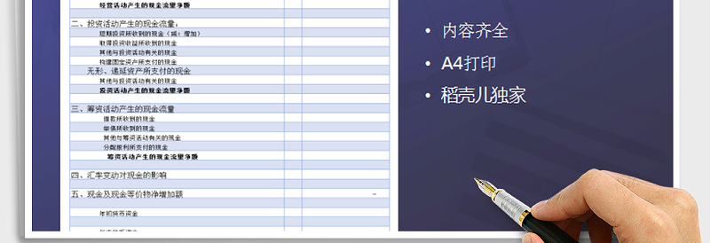 2025年现金流量表免费下载