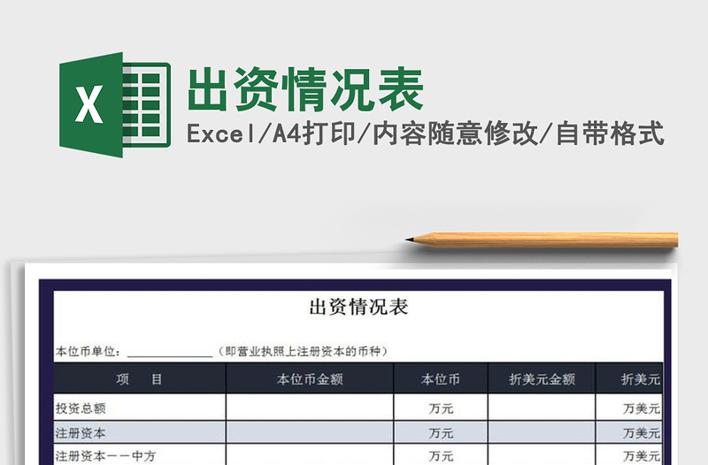 2025年出资情况表免费下载