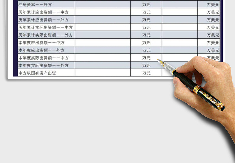 2025年出资情况表免费下载