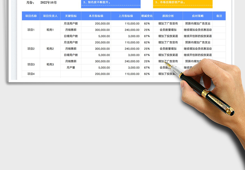 2025项目指标分析表