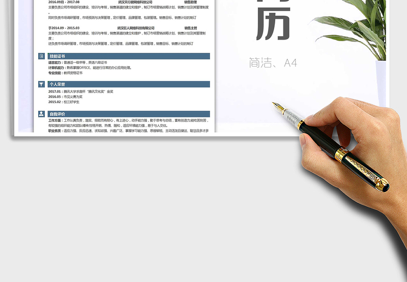 2025年销售营销类岗位求职简历模板