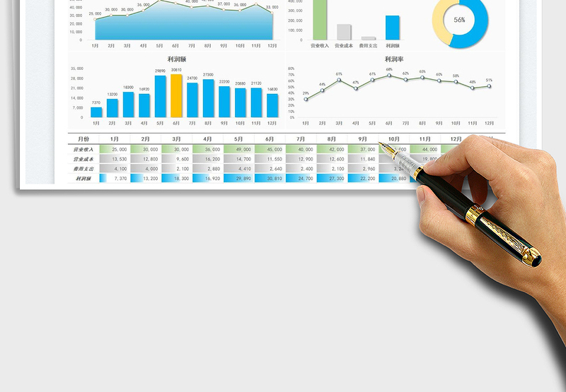 2025财务年度利润表