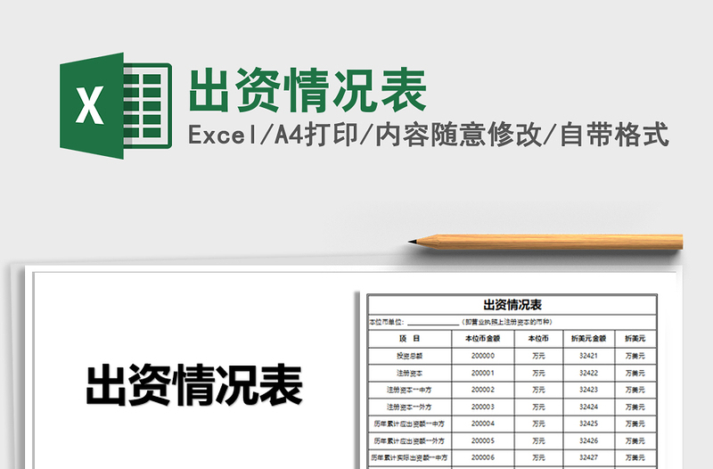 2025年出资情况表