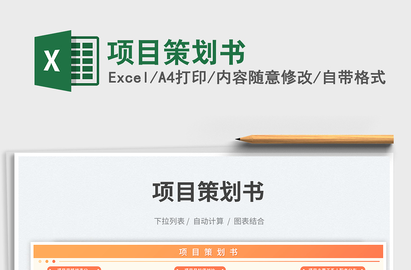 2025项目策划书免费下载