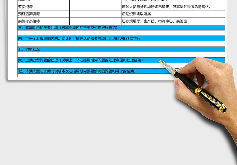 2025年项目状态报告表
