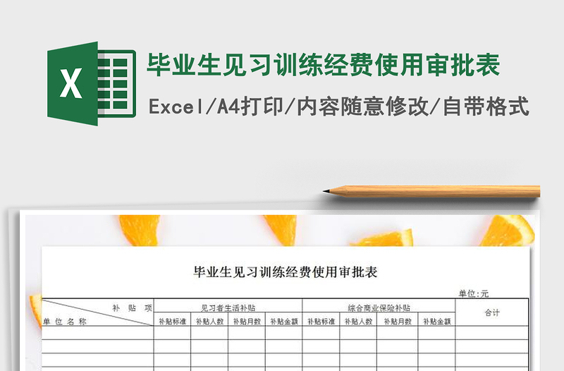 2025年毕业生见习训练经费使用审批表