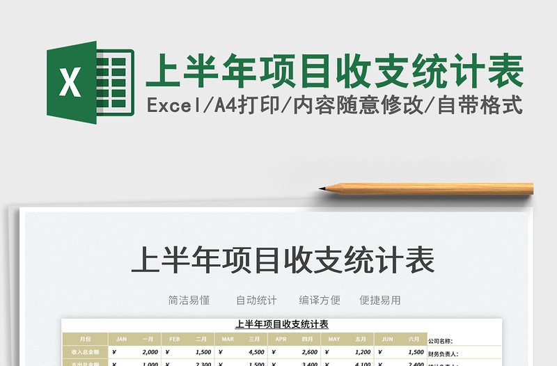 2025上半年项目收支统计表免费下载