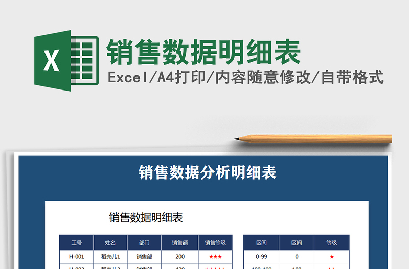 销售数据明细表