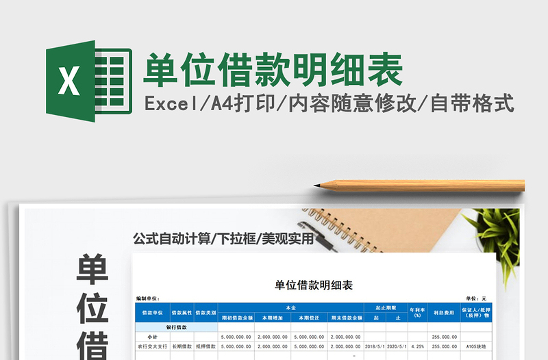 2025年单位借款明细表