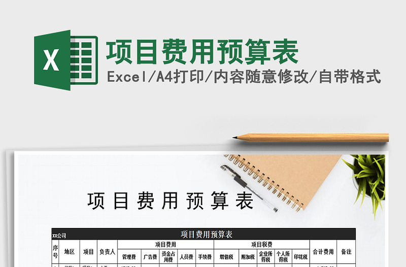 2025年项目费用预算表