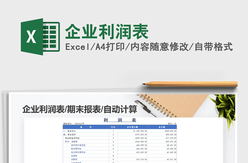 2025年企业利润表