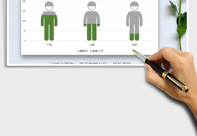 2025年人形图柱形图（动态可视化）