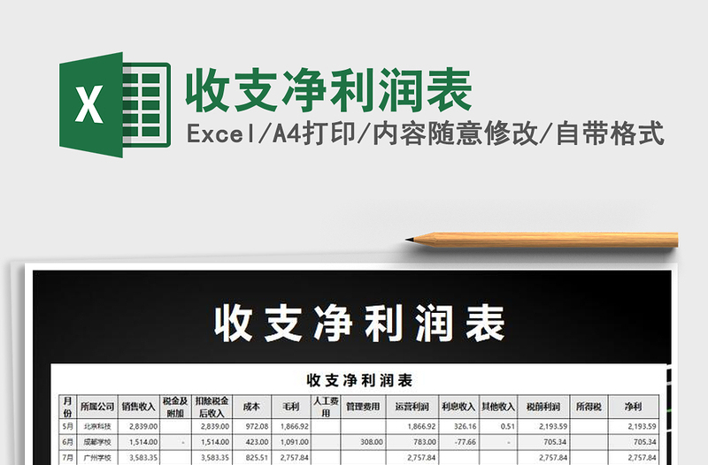 2025年收支净利润表