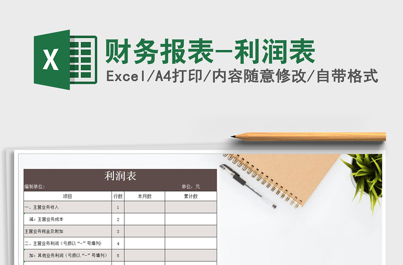 2025年财务报表-利润表