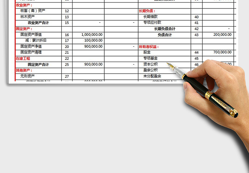 2025年农村专业合作社资产负债表