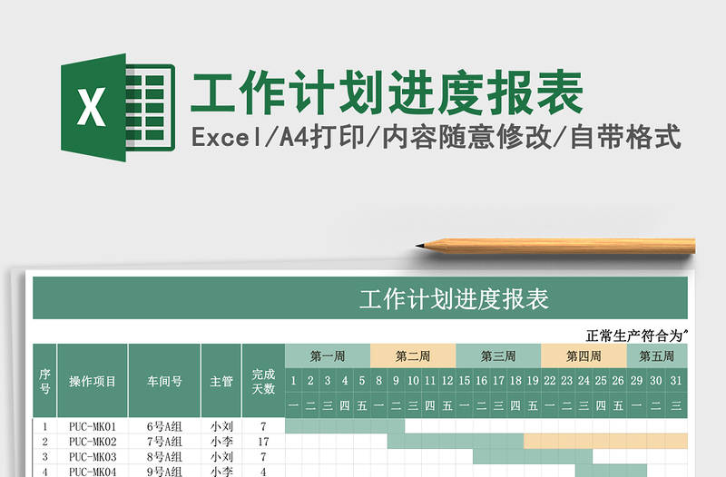 工作计划进度报表