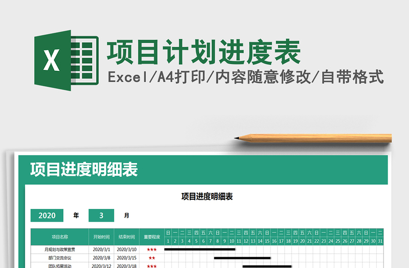 2025年项目计划进度表