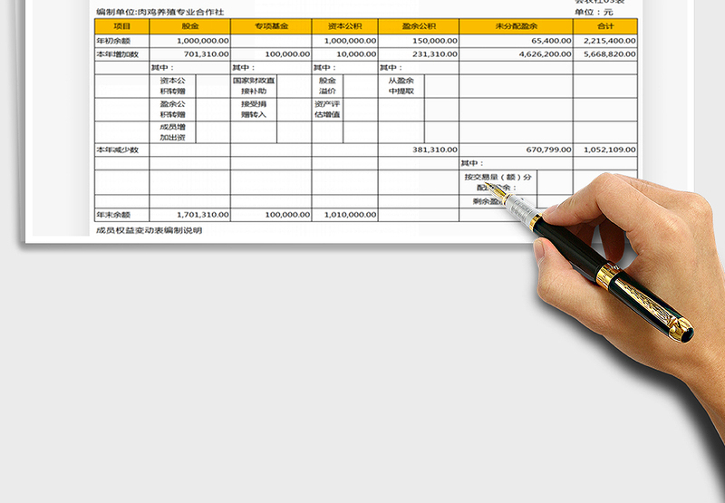 2025年农民专业合作社成员权益变动表