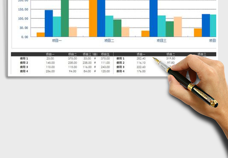 2025年项目各项费用比较表