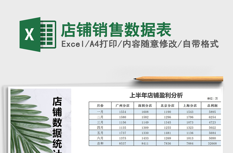 2025年店铺销售数据表免费下载
