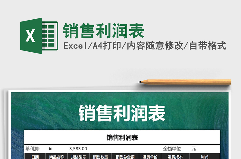 2025年销售利润表