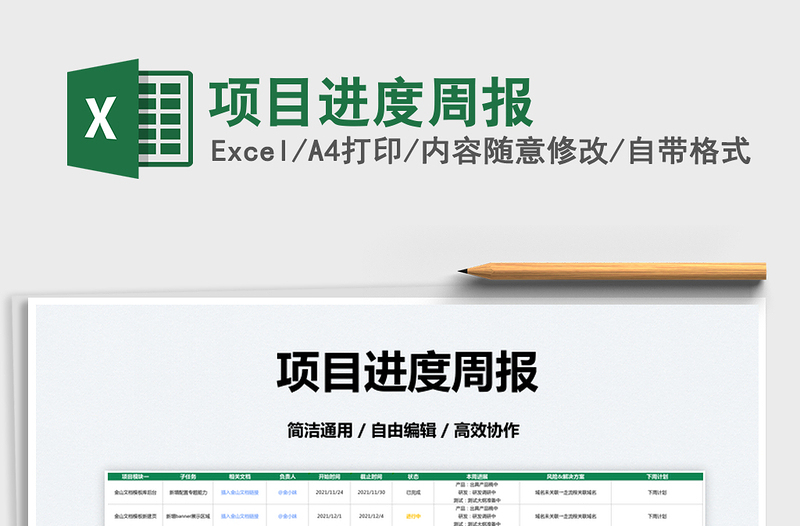 2025项目进度周报免费下载