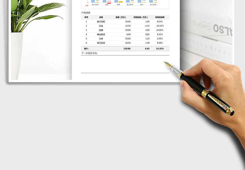 2025年家庭公司理财报表