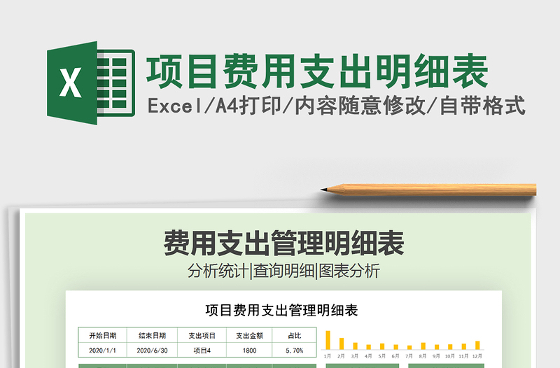 2025年项目费用支出明细表