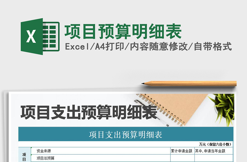 2025年项目预算明细表