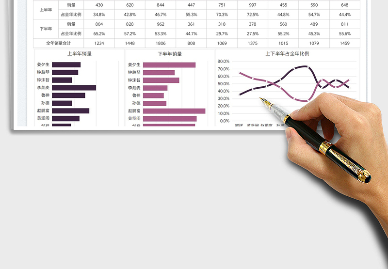 2025销量完成比例分析图免费下载
