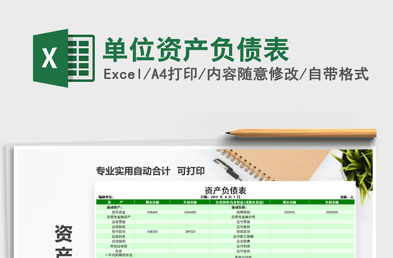 2025年单位资产负债表