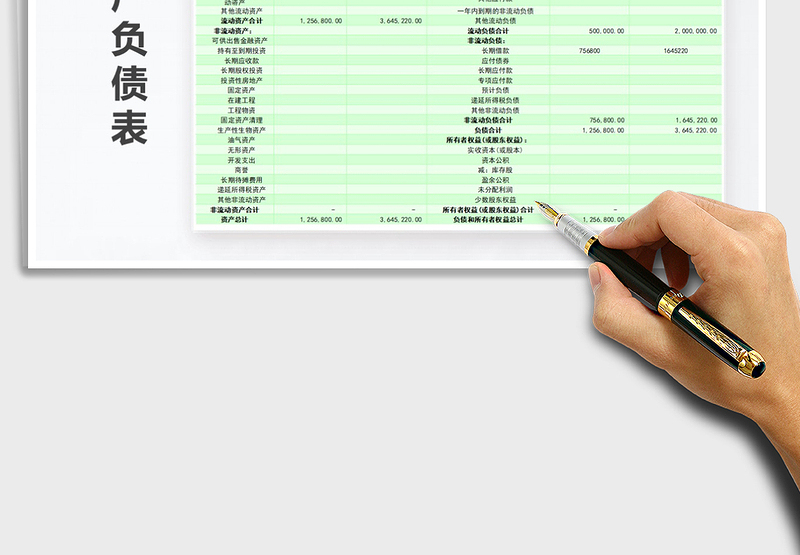 2025年单位资产负债表
