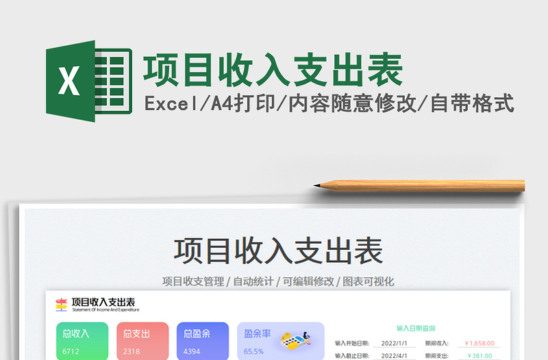 2025项目收入支出表