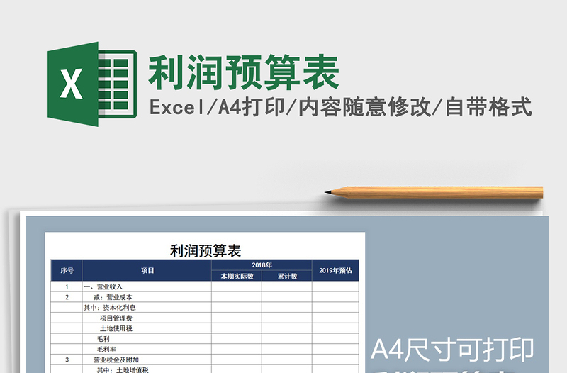 2025年利润预算表