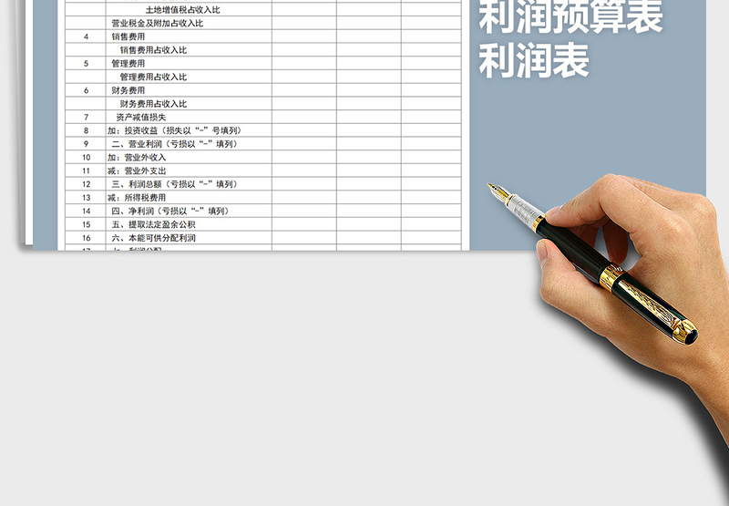 2025年利润预算表