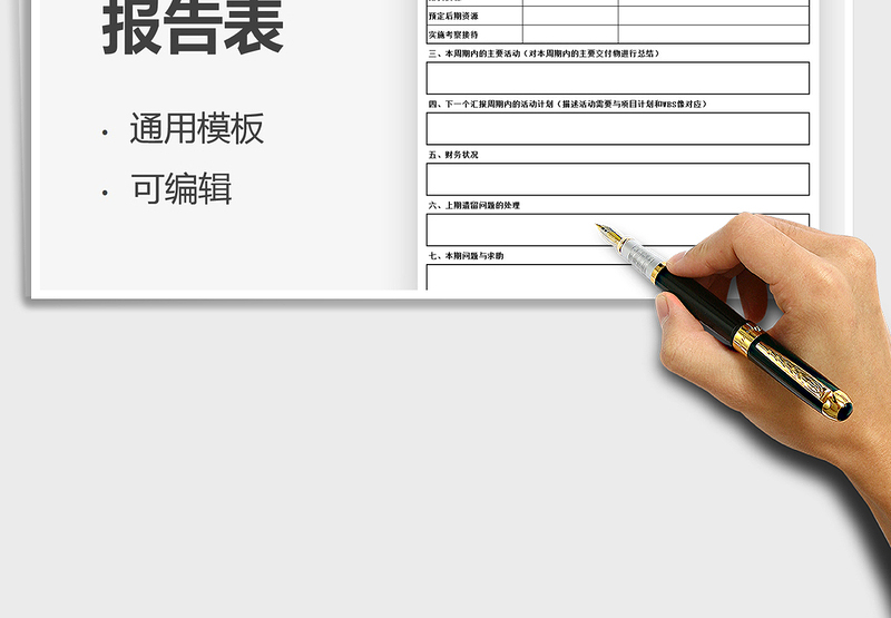 2025项目状态报告表免费下载