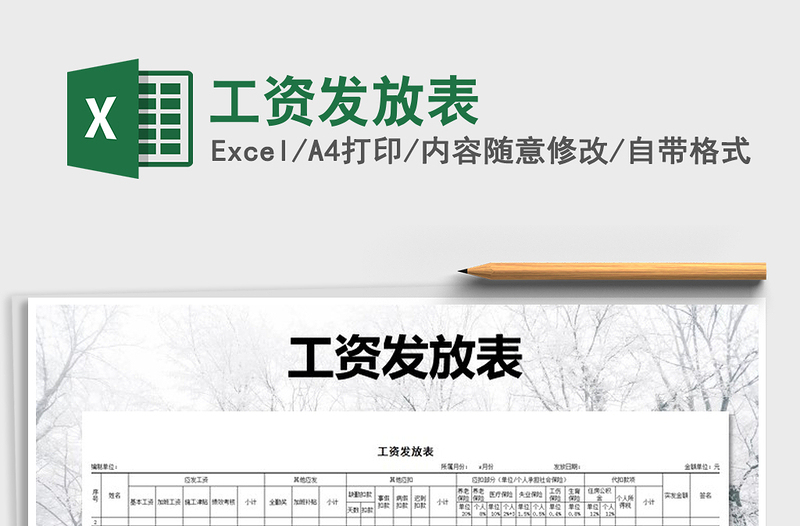 2025年工资发放表