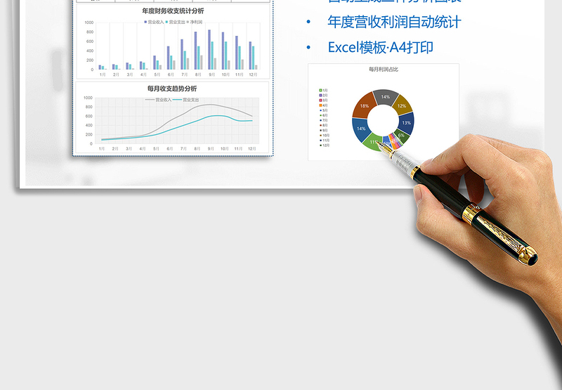 2025年年度财务营收统计表