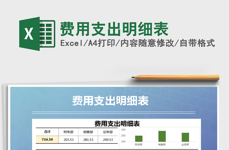 2025年费用支出明细表
