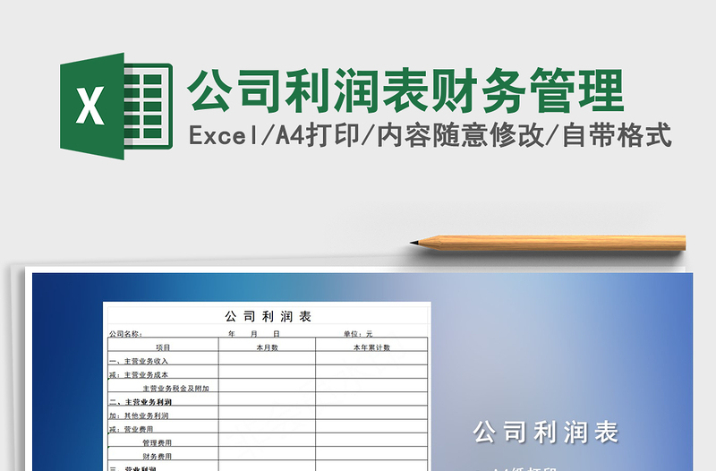 2025年公司利润表财务管理