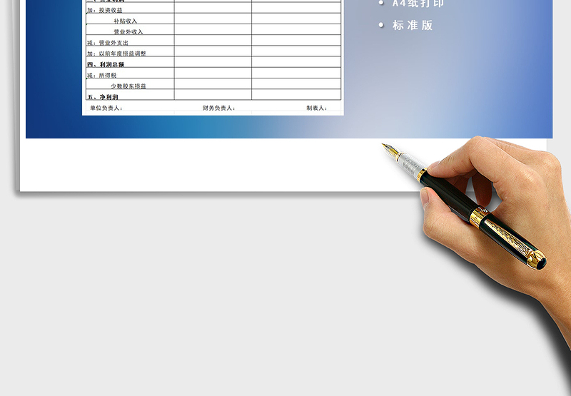 2025年公司利润表财务管理