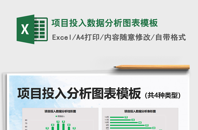 2025项目投入数据分析图表模板免费下载