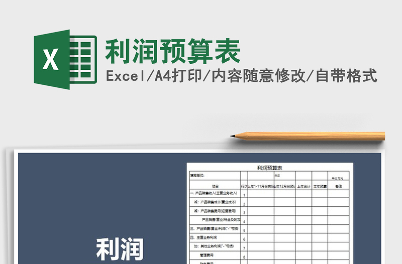 2025年利润预算表