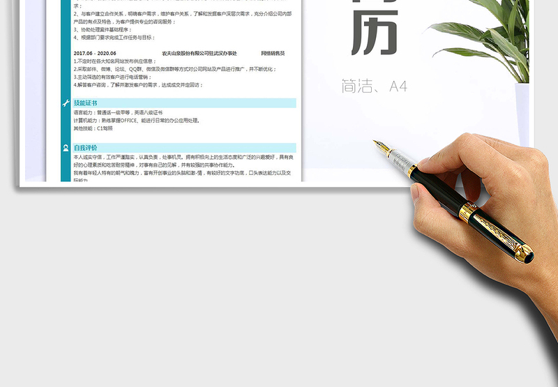 2025年网络销售员求职简历