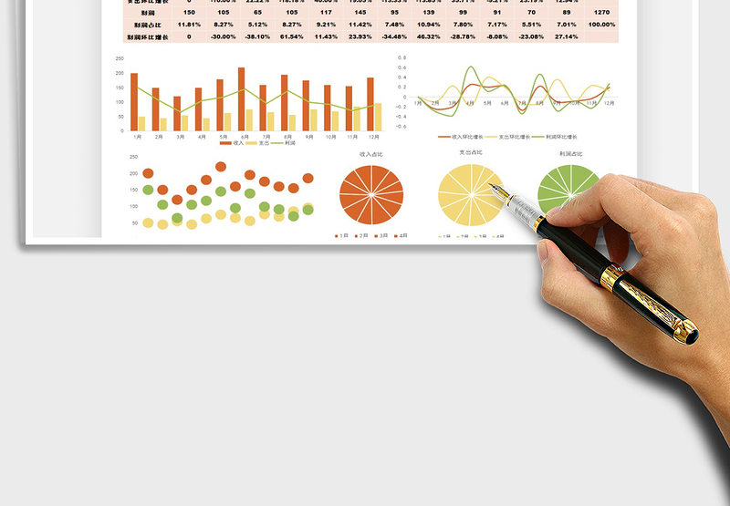 2025年年度收入支出利润可视化图表